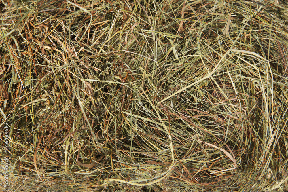 Hay bedding. Dry grass. Natural underlay. Original background.