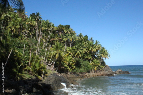 tropical beach in Northeast Brazil