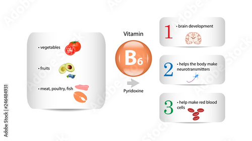 Vitamin B6 vector design. Vitamin B6 function and sources. Pyridoxin