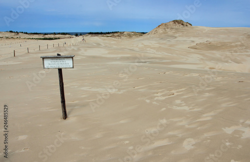 Sand dunes in Slowinski National Park,Poland (ID: 246485529)