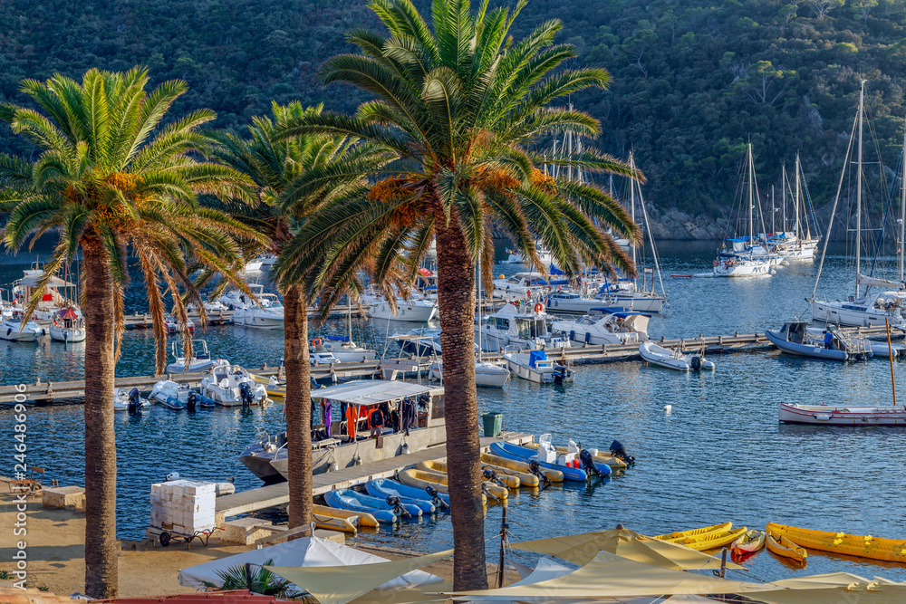 Yachts and boats in the harbor at sunset, reflection, beautiful coastal view, French Riviera. Holidays in France. Yachts and boats in the harbor at sunset, reflection, beautiful coastal view, French Riviera. Holidays in France.