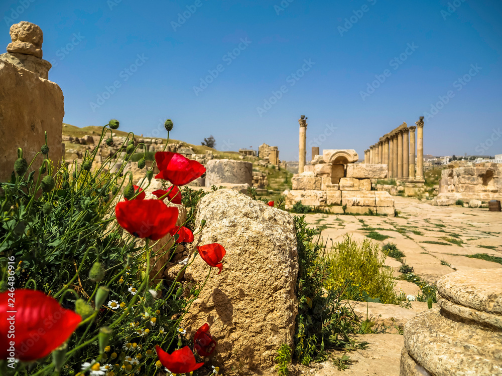 Scenery of ancient columns in the Roman City of Gerasa archaeological site in Jerash Jordan