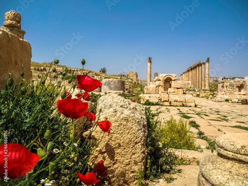 Obraz na płótnie Scenery of ancient columns in the Roman City of Gerasa archaeological site in Jerash Jordan w salonie