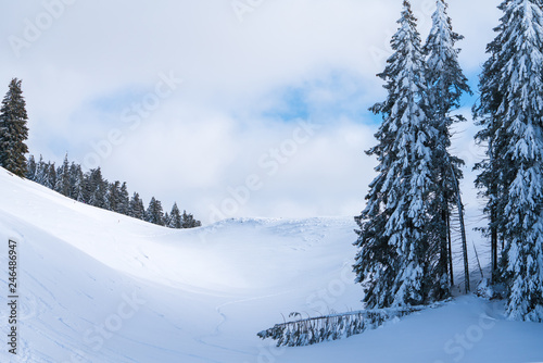 Waldrand mit umgestürzten Baum im Winter © lexpixelart