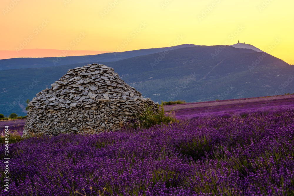 Vue sur le Mont Ventoux, depuis le village de Ferrassières. Champ de lavande et cabane en pieres seche (borie) au milieu du champ. Coucher de soleil.