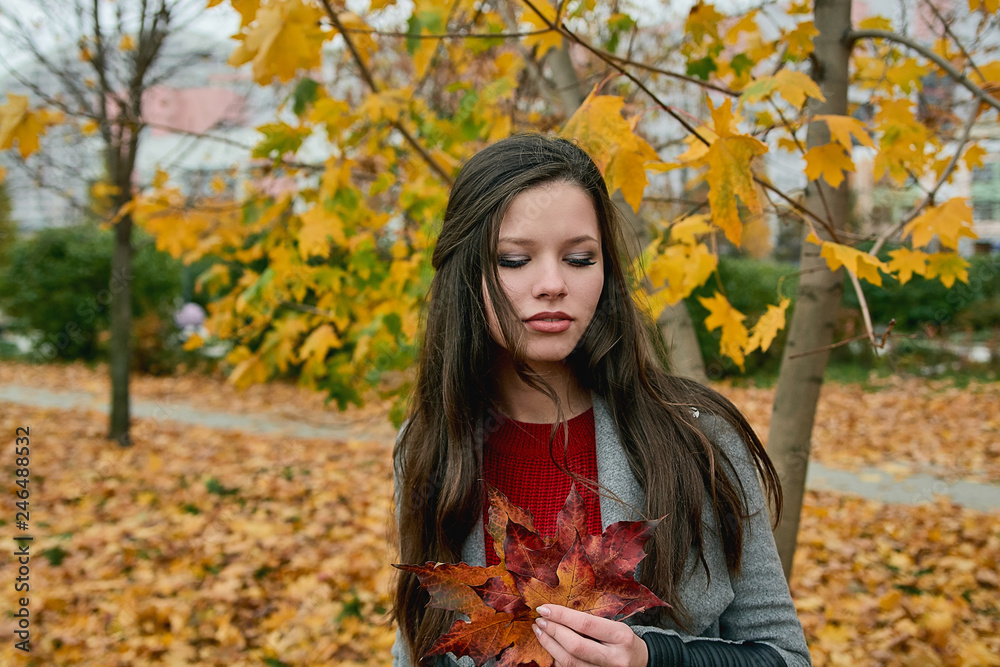 Outdoors portrait of a beautiful fashion looking girl with long hair in gray coat which holds the red autumn leaves in hand. Walk in the autumn city park. Outdoors portrait of a beautiful fashion looking girl with long hair in gray coat which holds the red autumn leaves in hand. Walk in the autumn city park.