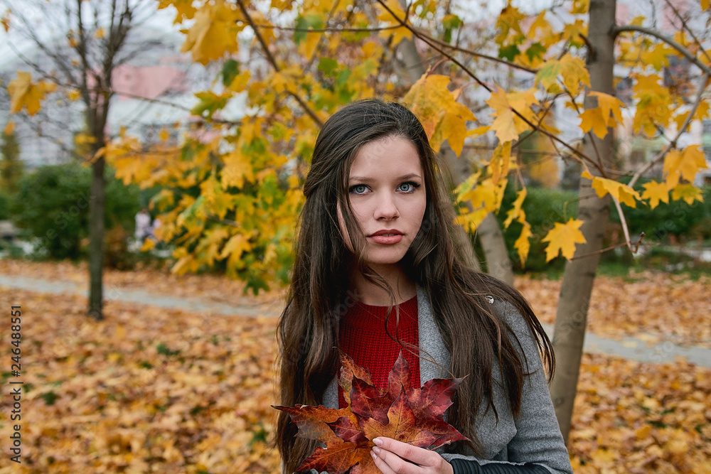 Outdoors portrait of a beautiful fashion looking girl with long hair in gray coat which holds the red autumn leaves in hand. Walk in the autumn city park. Outdoors portrait of a beautiful fashion looking girl with long hair in gray coat which holds the red autumn leaves in hand. Walk in the autumn city park.