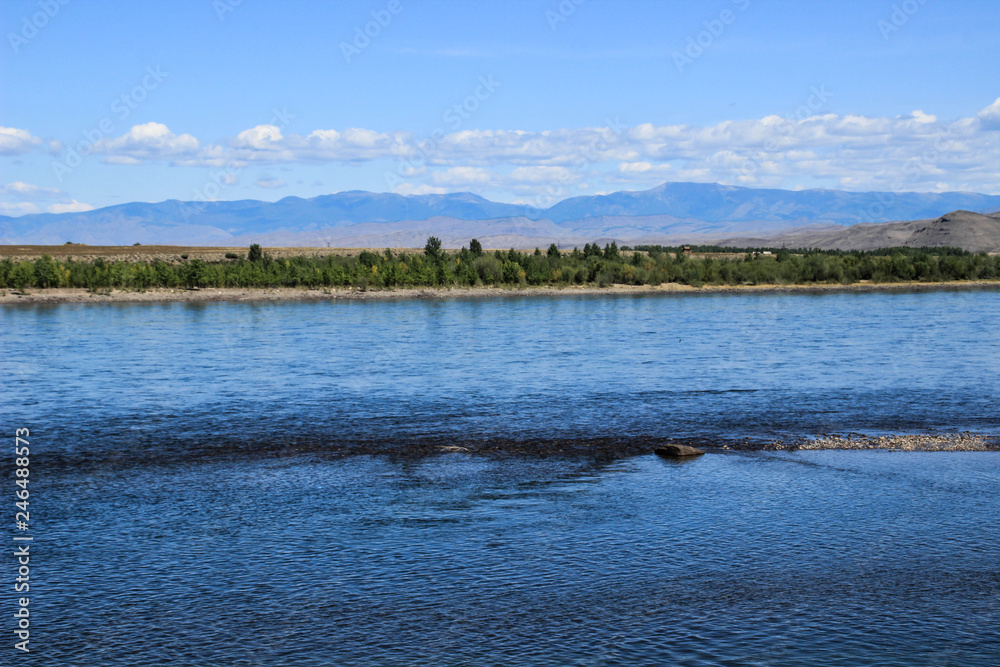 The great Russian river Yenisei which originates in the Siberian region in the center of Asia - Tyva. Bright summer sunny day, clear sky with clouds and bright blue water of the river.