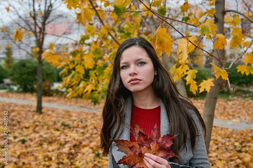 Outdoors portrait of a beautiful fashion looking girl with long hair in gray coat which holds the red autumn leaves in hand. Walk in the autumn city park.