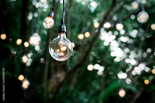 Lighting decor into the forest jungle photo