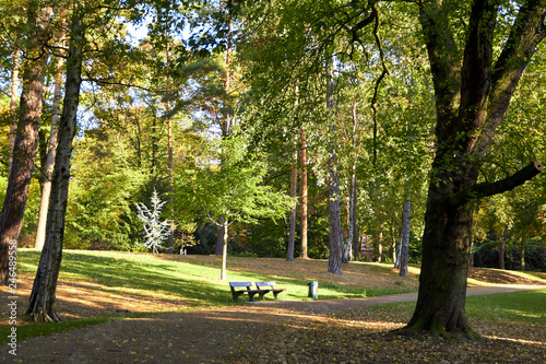 Fototapeta Naklejka Na Ścianę i Meble -  Photo of a park in a German city. Beautiful nature of Germany. Green park area of Hamburg. Park paths for walking people. Beautiful nature on a sunny day.