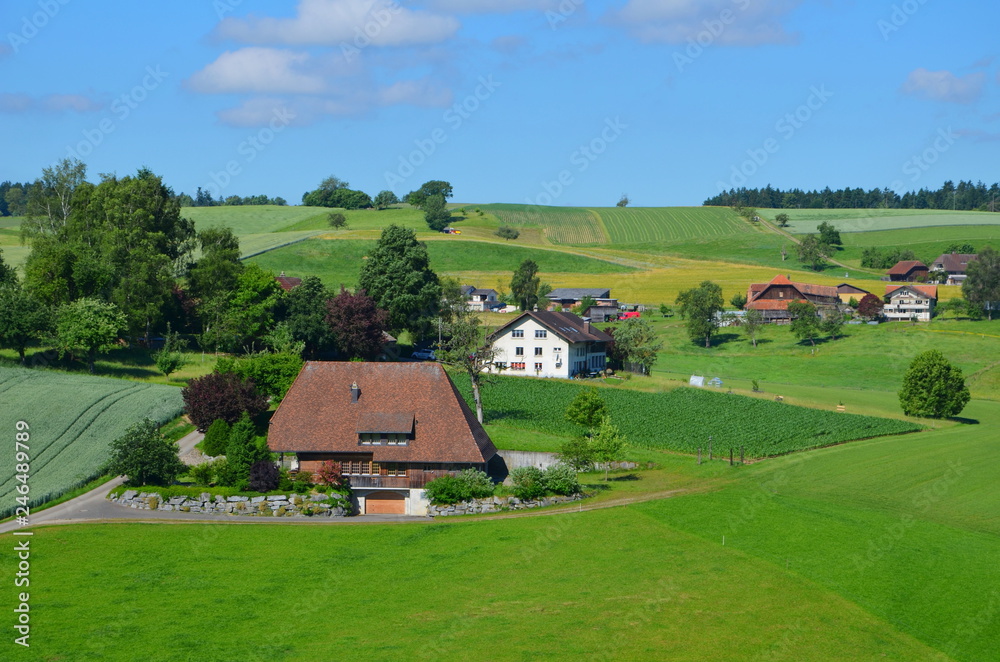 Swiss valley with old houses