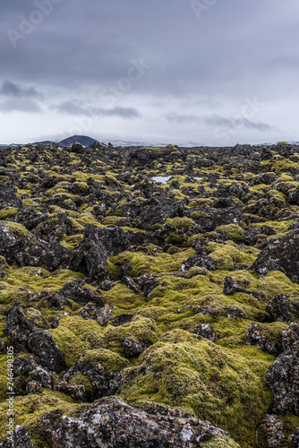 Bergige Stein-Mood-Landschaft bewölkt in Island