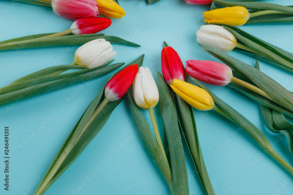 Spring tulips frame on background, top view. Spring tulips frame on background, top view.