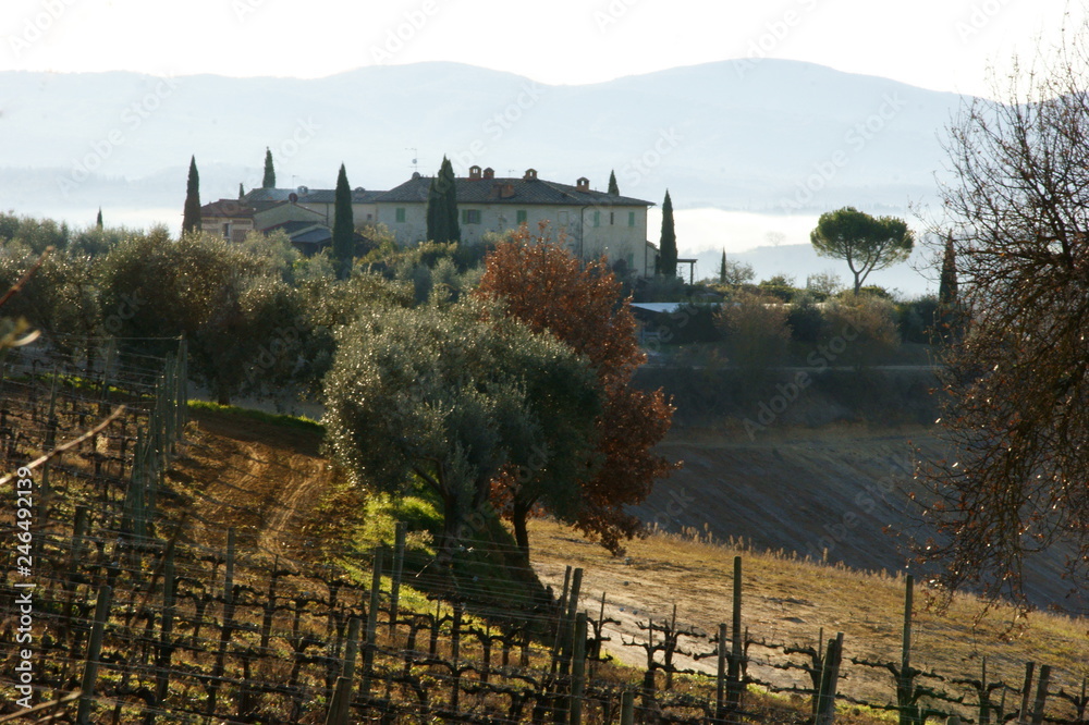 Colline Toscane