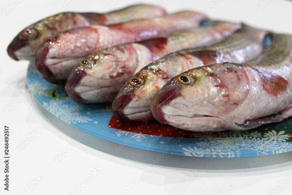 Gutted pelengas lie on a tray awaiting cooking for Easter Gutted pelengas lie on a tray awaiting cooking for Easter