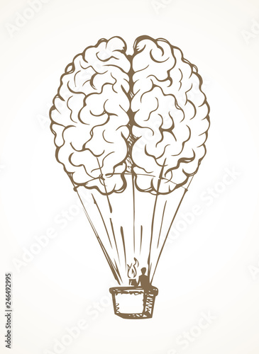 Brain. Vector drawing