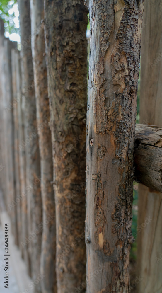 Fototapeta premium Wooden Pole Fence with Texture