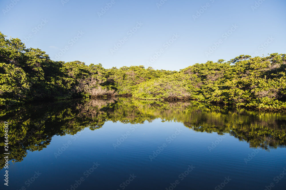 Turtle Cove on Baltra Island in the Galapagos Ecuador