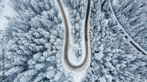 hairpin curve from air with forest 