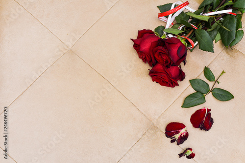 red roses on the leather background, there is a place for the text