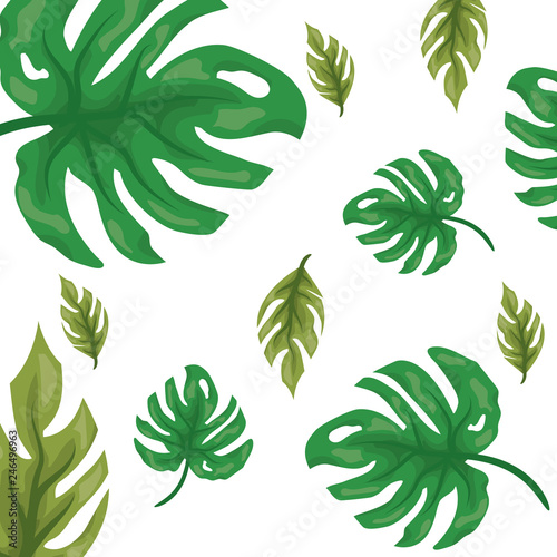 leaves nature branch foliage background