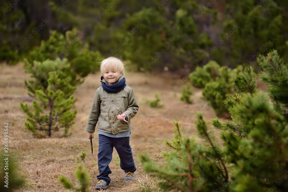 Cute little boy walks in Swiss national Park on spring. Hiking with little kids. Cute little boy walks in Swiss national Park on spring. Hiking with little kids.