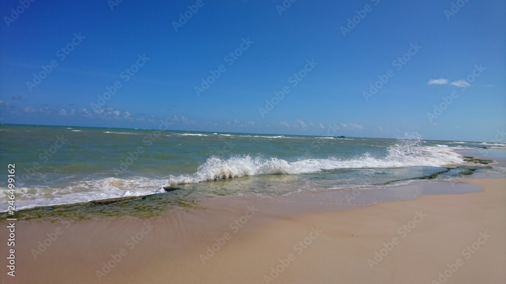 Alagoas Sea Mar Beach Praia