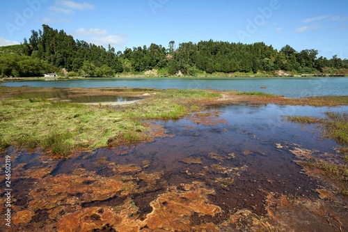 Shore of Lagao das Furnas with ferrous deposits, Furnas, Island of Sao Miguel, Azores, Portugal, Europe photo