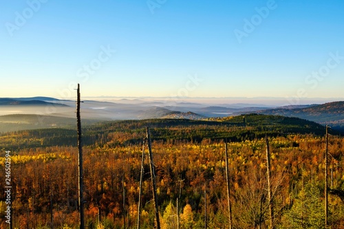 View from Siebensteinkopf, village Finsterau, in the back the Alps, Bavarian Forest National Park, Lower Bavaria, Bavaria, Germany, Europe photo