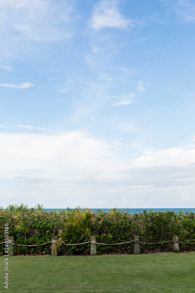 Grass, Plants, Ocean, Sky