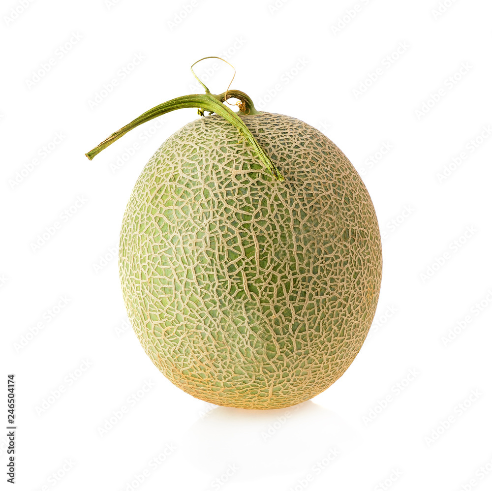 cantaloupe melon isolated on white background cantaloupe melon isolated on white background