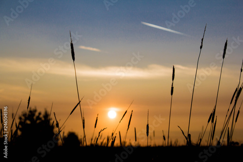wind turbines at sunset © boatsurfer