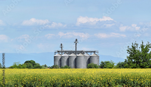 Silo in the middle of oilseed rape farm in blossom