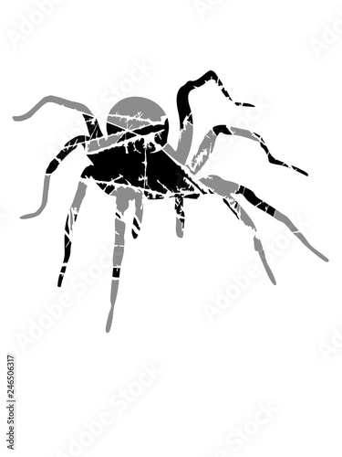 risse kratzer stempel alt spinne vogelspinne design clipart logo ekelig krabbeln monster horror halloween angst