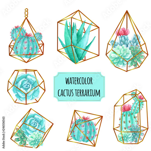 watercolor cactus terrarium