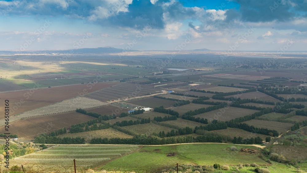 Israel desert Israel desert