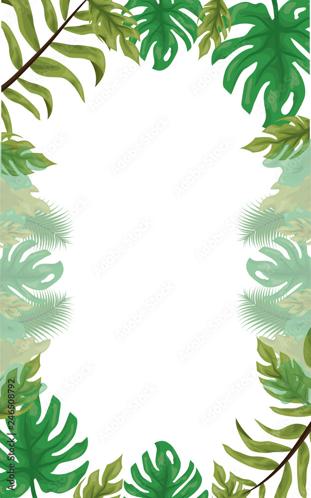 frame leaves tropical foliage background