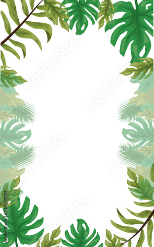 frame leaves tropical foliage background