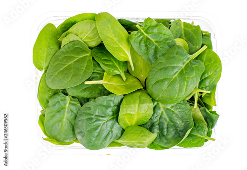 Spinach fresh green leaves in transparent package
