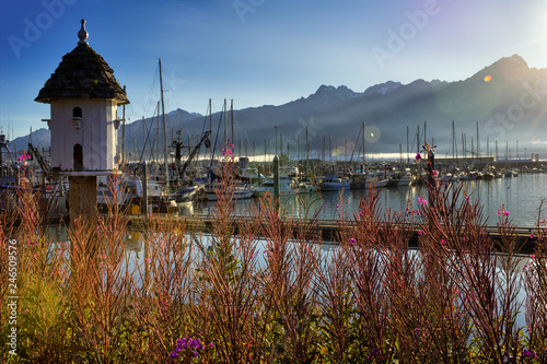 Harbor/Marina at Seward, Alaska
