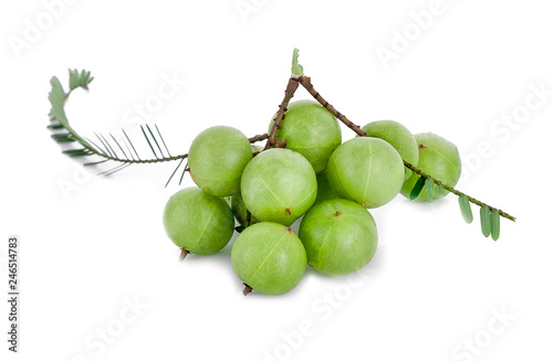 Indian gooseberry isolated on white background