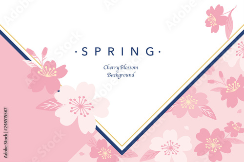 Obraz na plátne Pink cherry blossoms background illustration