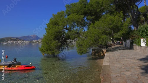 Pine Walk at the Bay of Purto Pollenca, Majorca, Balearic Islands, Spain, Mediterranean, Europe photo