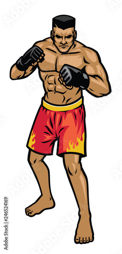 mma fighter stance