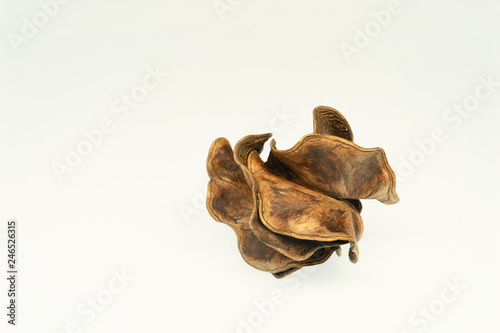 Amazing plant seeds(Pithecellobium) on white background. Shot with focus stacking.