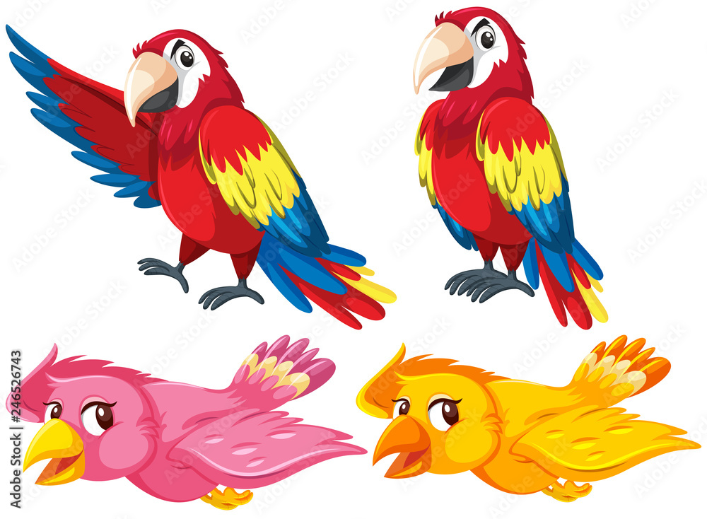 Obraz premium Set of different birds