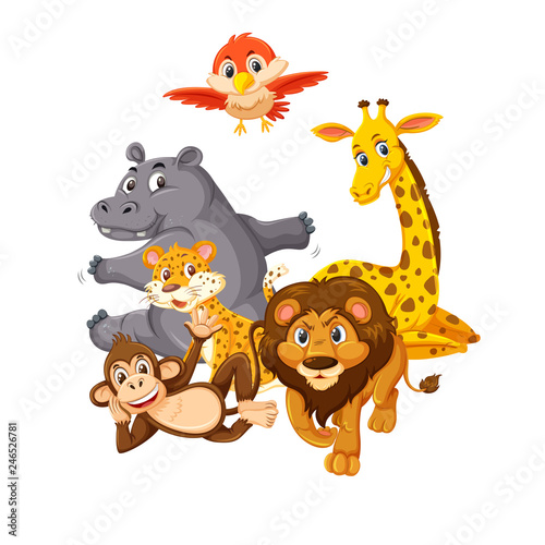 Group of wild animals