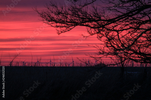 Tree In Pink Sunset Generating Energy With Turbines