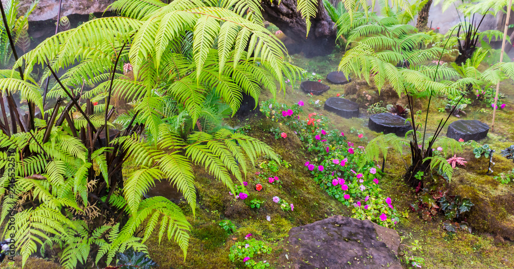 Stone and green moss decoration in japanese garden./ Panorama stone and green moss decoration in japanese cozy home flower garden after rain. Stone and green moss decoration in japanese garden./ Panorama stone and green moss decoration in japanese cozy home flower garden after rain.